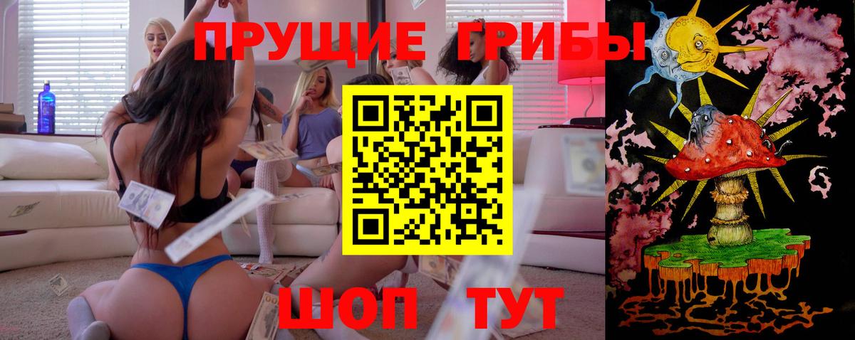 Арсеньев  Галлюциногенные грибы Psilocybine cubensis  Вход с VPN 